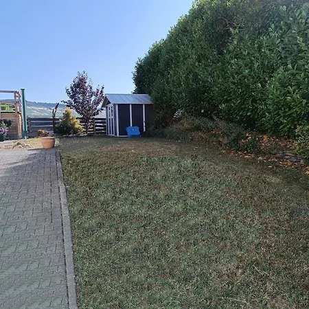 Elli's Moseloase - *