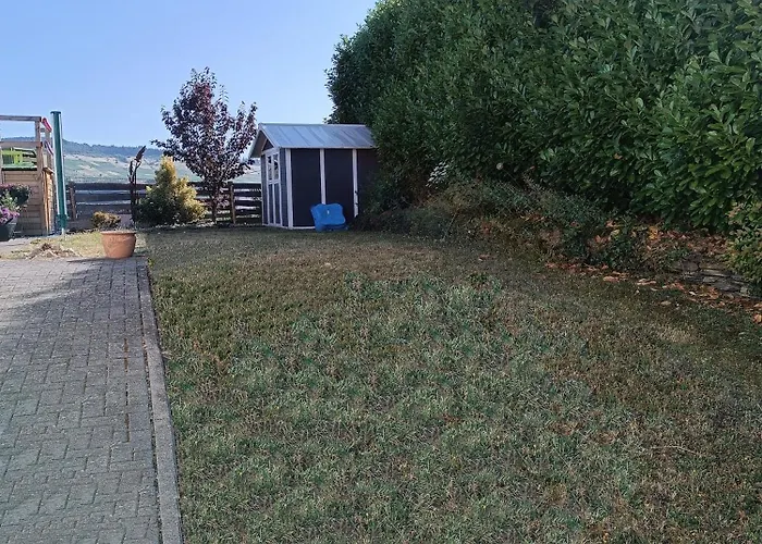 Elli's Moseloase - *